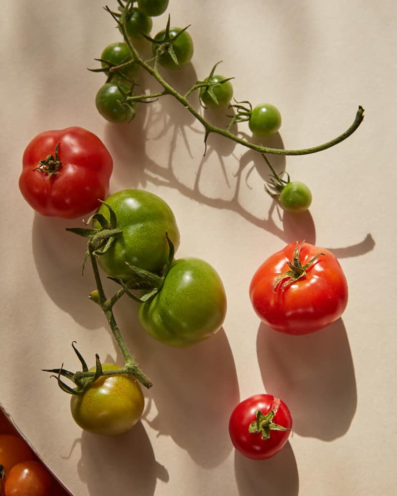 overhead image of mixed tomatoes on a white background