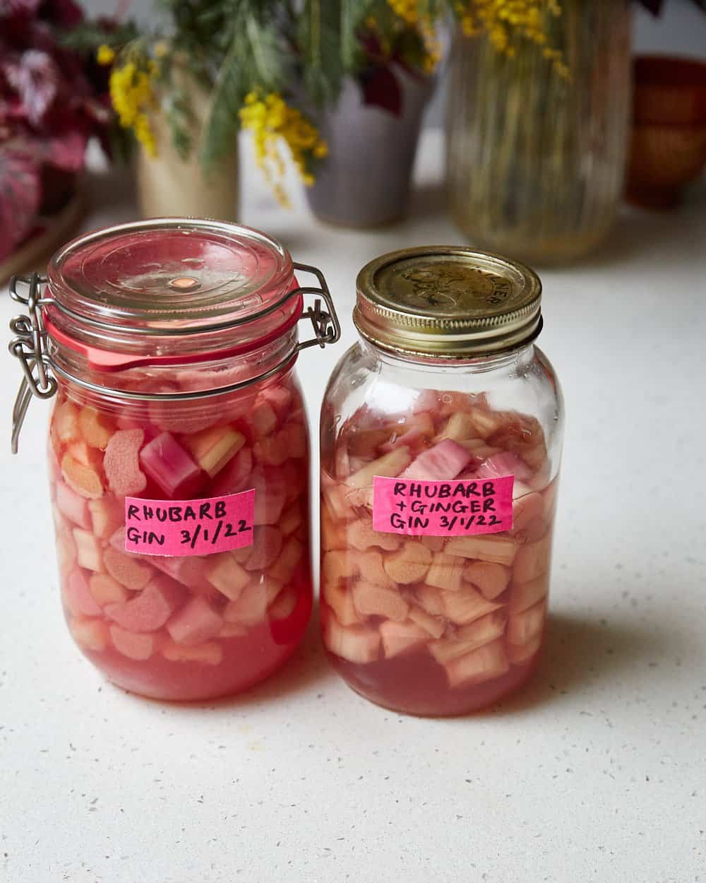 3 week infused rhubarb gin with chunks of rhubarb in two jars on a counter top